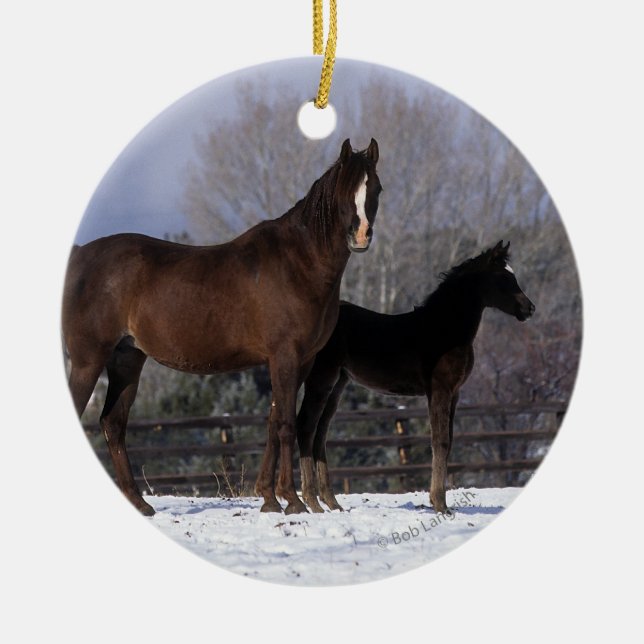 Arab Mare & Foal in Snow Ceramic Tree Decoration (Front)