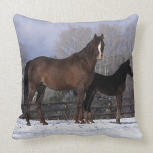 Arab Mare & Foal in Snow Cushion
