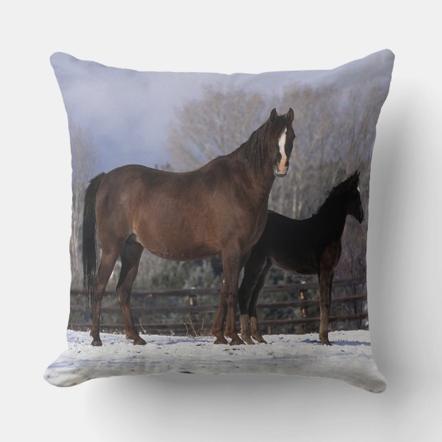 Arab Mare & Foal in Snow Cushion (Front)