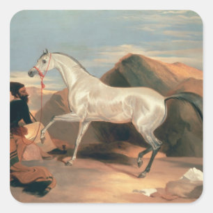Arab Stallion Square Sticker