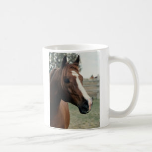 Arabian at Pasture Coffee Mug