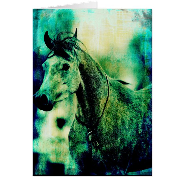 Arabian Blues (Front)