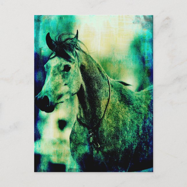 Arabian Blues Postcard (Front)