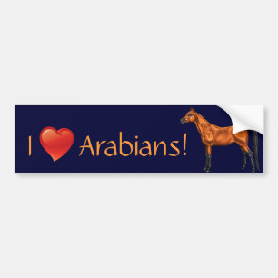 Arabian Bumper Sticker