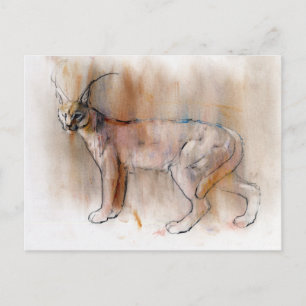 Arabian Caracal 2009 Postcard