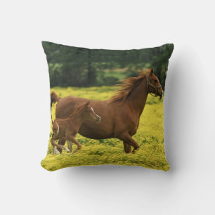 Arabian foal and mare running through cushion
