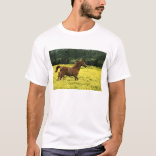 Arabian foal and mare running through T-Shirt