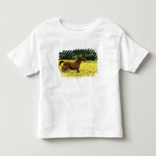 Arabian foal and mare running through toddler T-Shirt