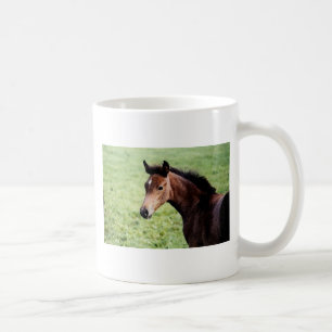 Arabian foal mug