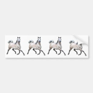 Arabian Horse - Alia Bumper Sticker