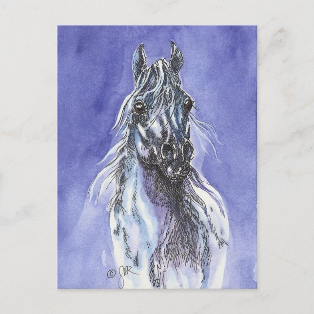 Arabian Horse Art Postcard (Front)