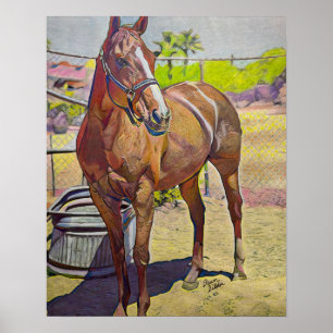 Arabian Horse Art Poster