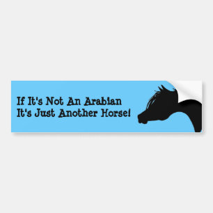 Arabian Horse Bumper Sticker