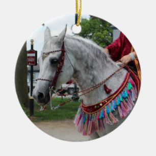 Arabian Horse Costume ornament