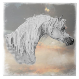 Arabian Horse Decorative Tile