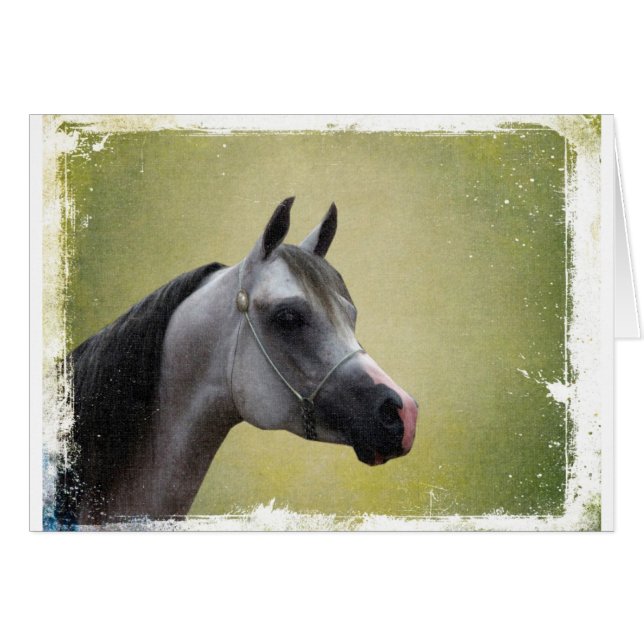 Arabian Horse Grunge (Front Horizontal)
