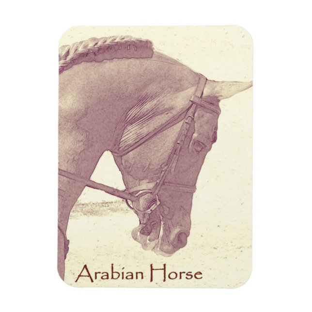 Arabian Horse magnet (Vertical)