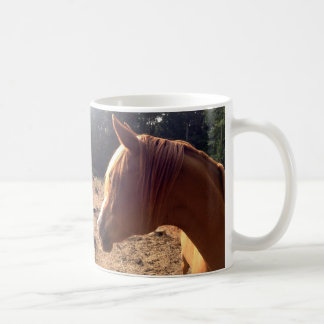 Arabian Horse Mug