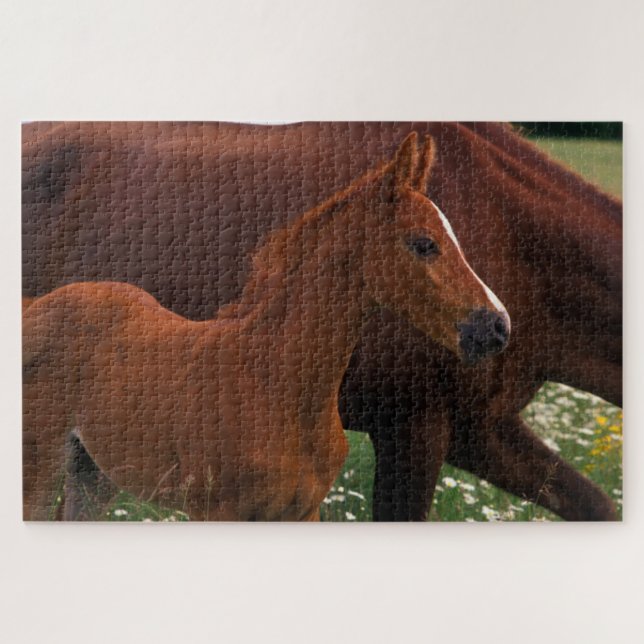 Arabian Horse Near Mother Jigsaw Puzzle (Horizontal)