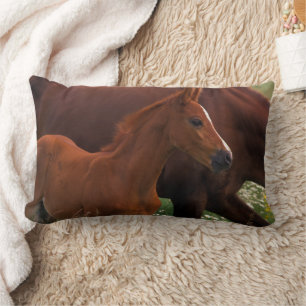Arabian Horse Near Mother Lumbar Cushion