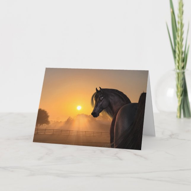 Arabian Horse Sunrise Card (Front)