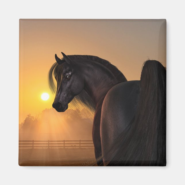 Arabian Horse Sunrise Magnet (Front)