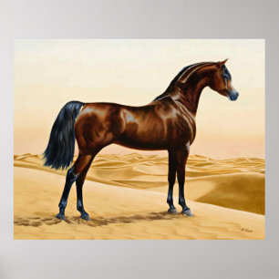 Arabian Horse - William Barraud Poster