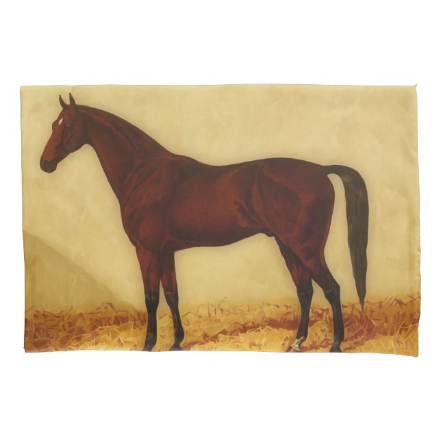 Arabian horse with chestnut coat pillowcase (Front)