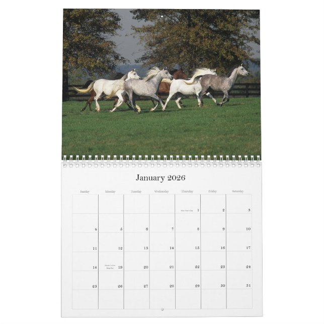 Arabian Horses Calendar (Jan 2026)