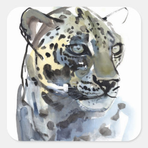 Arabian Leopard 2008 4 Square Sticker