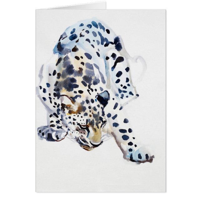 Arabian Leopard 2008  5 (Front)