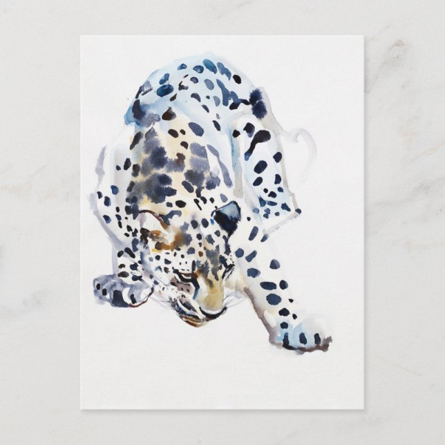 Arabian Leopard 2008  5 Postcard (Front)