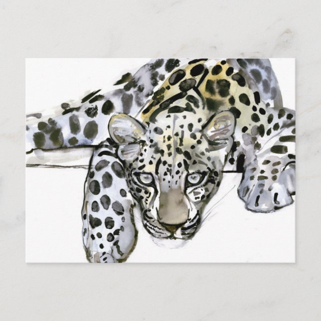 Arabian Leopard 2008  6 Postcard (Front)