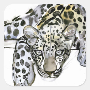 Arabian Leopard 2008 6 Square Sticker