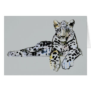 Arabian Leopard 2008  7