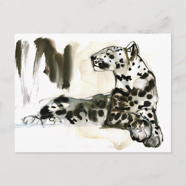 Arabian Leopard 2008 Postcard (Front)