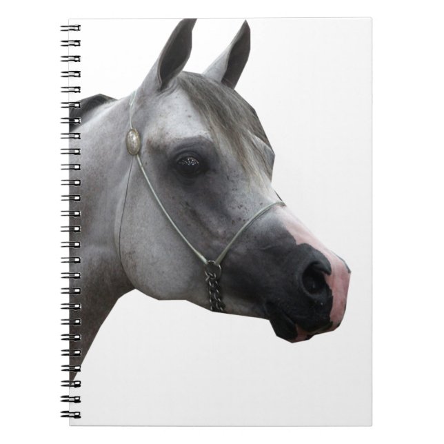 Arabian Notebook (Front)