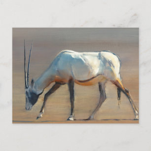 Arabian Oryx 2010 Postcard