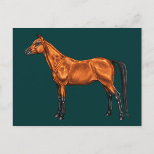 Arabian Postcard