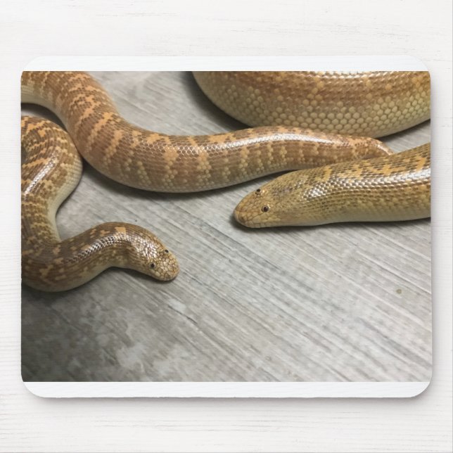Arabian sand boa mouse pad (Front)