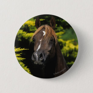Arabian Stallion 6 Cm Round Badge