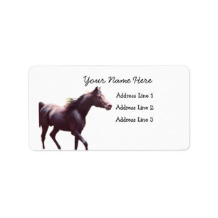 Arabian Stallion Address Labels