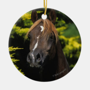 Arabian Stallion Ceramic Ornament