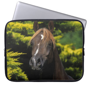 Arabian Stallion Laptop Sleeve