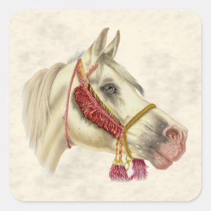 Arabian Stallion Square Sticker