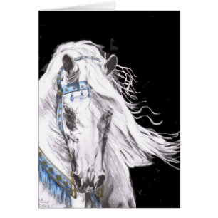"Arabian White"
