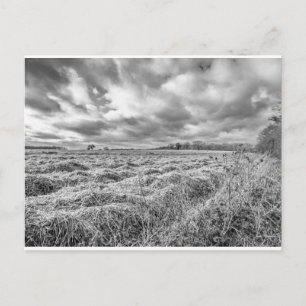 Arable field in the countryside of rural Norfol Postcard