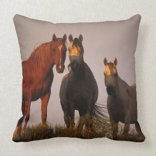 Arabs at Sunset Cushion