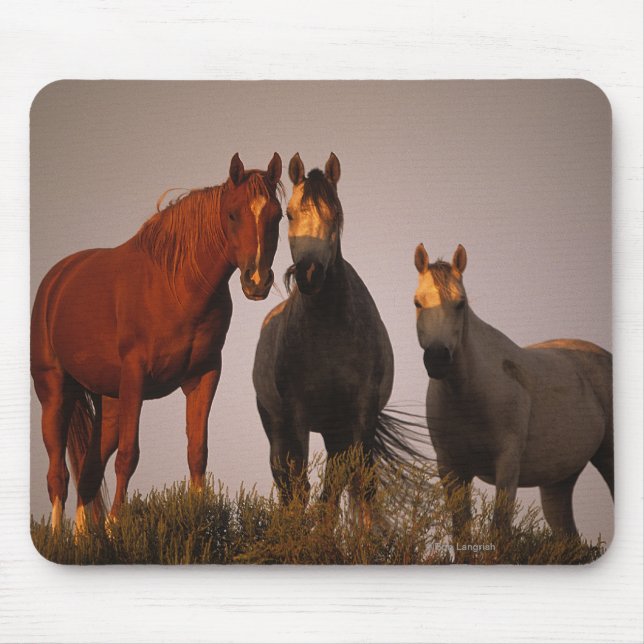 Arabs at Sunset Mouse Pad (Front)