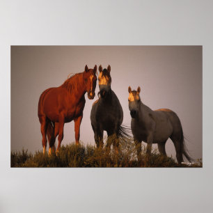 Arabs at Sunset Poster